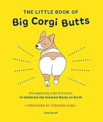 The little book d'occasion  Livré partout en France