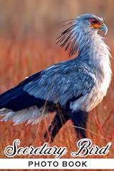 Secretary bird photo for sale  Delivered anywhere in USA 