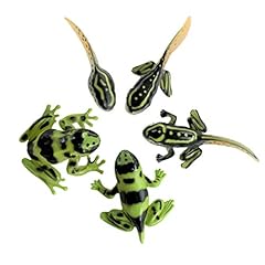 Sensory4u frog life for sale  Delivered anywhere in USA 