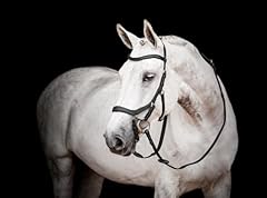 Horseware micklem wettkampftre gebraucht kaufen  Wird an jeden Ort in Deutschland