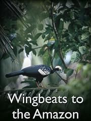 Wingbeats amazon for sale  Delivered anywhere in USA 