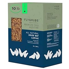 Flygrubs dried black for sale  Delivered anywhere in USA 