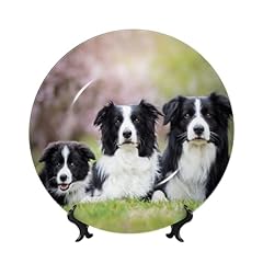 Feehsp border collie for sale  Delivered anywhere in UK