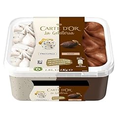 Carte gelato vaschetta usato  Spedito ovunque in Italia 