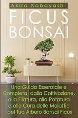 Ficus bonsai una usato  Spedito ovunque in Italia 