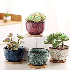Gelory succulent pots for sale  Delivered anywhere in UK