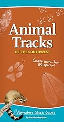 Animal tracks southwest for sale  Delivered anywhere in USA 