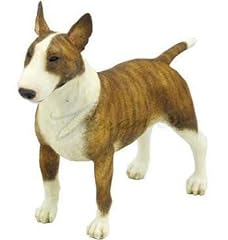 Bull terrier dog for sale  Delivered anywhere in Ireland