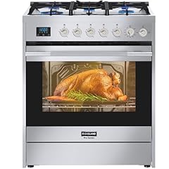 Gasland gas range for sale  Delivered anywhere in USA 