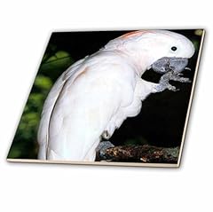 Inch ceramic tile for sale  Delivered anywhere in USA 