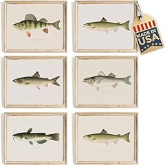 Fish wall art for sale  Delivered anywhere in USA 