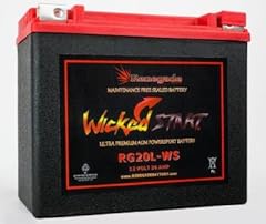 Rg20l wicked start for sale  Delivered anywhere in USA 