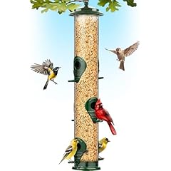 Bird feeders outdoors for sale  Delivered anywhere in USA 