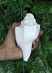Ashirwad genuine blowing for sale  Delivered anywhere in USA 