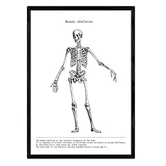 Nacnic affiches anatomiques. d'occasion  Livré partout en France