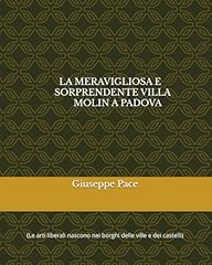 Meravigliosa sorprendente vill usato  Spedito ovunque in Italia 