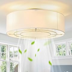 Mizwacky low ceiling for sale  Delivered anywhere in USA 