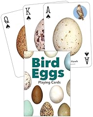 Bird eggs playing for sale  Delivered anywhere in UK