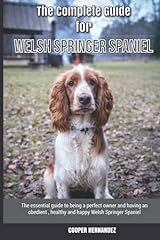 Complete guide welsh for sale  Delivered anywhere in UK