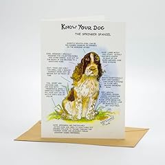 Springer spaniel dog for sale  Delivered anywhere in UK