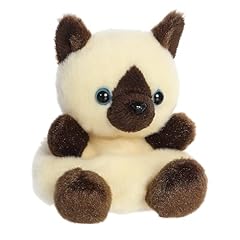 Aurora adorable palm for sale  Delivered anywhere in USA 