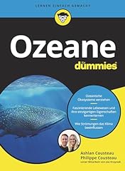 Ozeane für dummies for sale  Delivered anywhere in UK