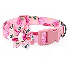 Dog collar fancy for sale  Delivered anywhere in USA 