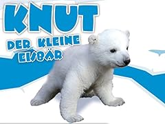 Eisbär entdeckt gebraucht kaufen  Wird an jeden Ort in Deutschland