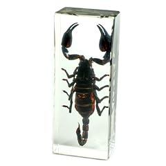 Realbug black scorpion for sale  Delivered anywhere in USA 