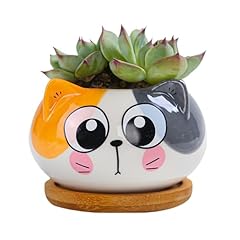Cuteforyou cute 3.5 for sale  Delivered anywhere in USA 