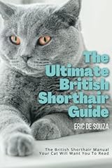 Ultimate british shorthair for sale  Delivered anywhere in UK