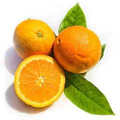 Kejora navel oranges for sale  Delivered anywhere in USA 