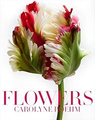 Flowers for sale  Delivered anywhere in USA 