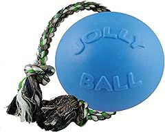 Jolly pets palla usato  Spedito ovunque in Italia 