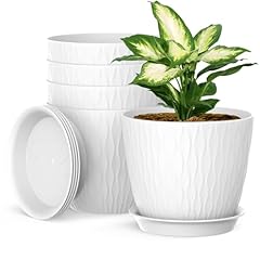 Homeuouz lot pots d'occasion  Livré partout en France