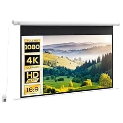 Homcom beamer leinwand gebraucht kaufen  Wird an jeden Ort in Deutschland