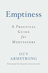 Emptiness practical guide for sale  Delivered anywhere in USA 