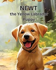 Newt yellow labrador for sale  Delivered anywhere in USA 