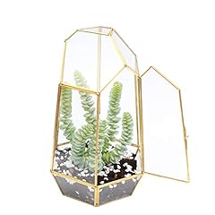 Used, The Fellie 9.8" DIY Glass Terrarium Container Plant for sale  Delivered anywhere in USA 