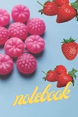 Notebook landrine time gebraucht kaufen  Wird an jeden Ort in Deutschland