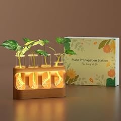 Plant propagation station for sale  Delivered anywhere in USA 