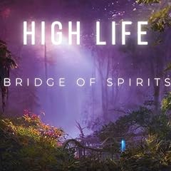 Bridge spirits d'occasion  Livré partout en France