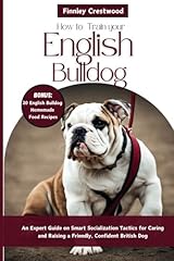 Train english bulldog for sale  Delivered anywhere in USA 