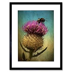Wee blue coo for sale  Delivered anywhere in UK