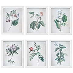 Framed Botanical Prints, Wildflower Nature Wall Art (8x10 for sale  Delivered anywhere in Canada