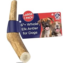 Devil dog pet for sale  Delivered anywhere in USA 