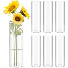 6pcs glass cylinder for sale  Delivered anywhere in USA 