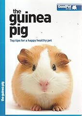 Guinea pig good for sale  Delivered anywhere in UK