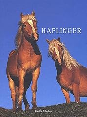 Haflinger d'occasion  Livré partout en Belgiqu