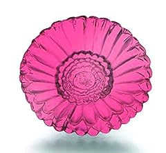 Waterford gerber daisy for sale  Delivered anywhere in USA 